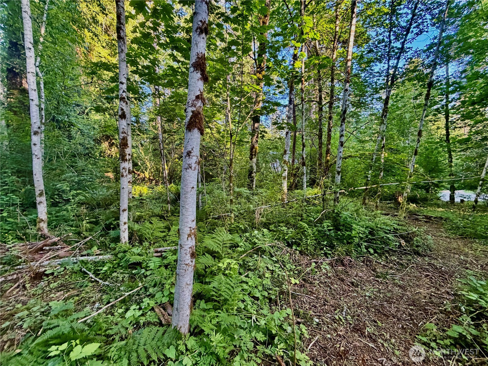 7546 Colleen Court Property Photo 15