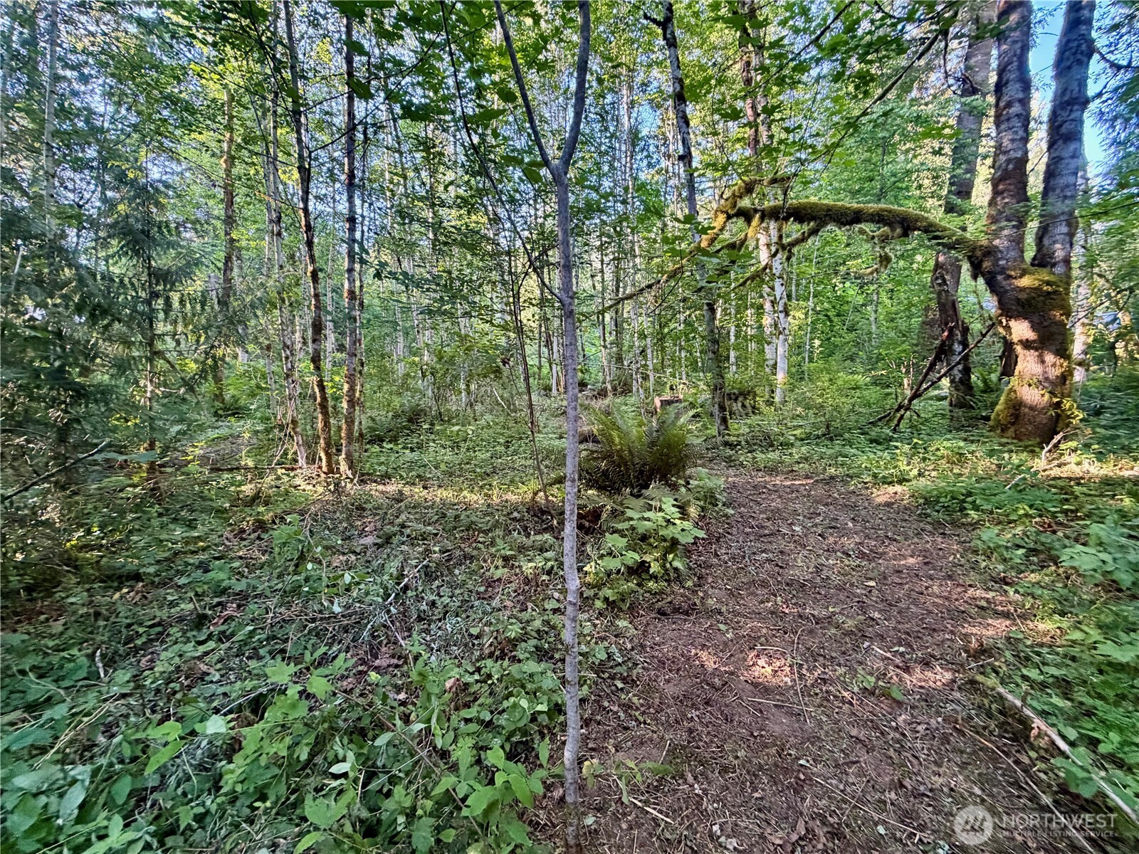 7546 Colleen Court Property Photo 19
