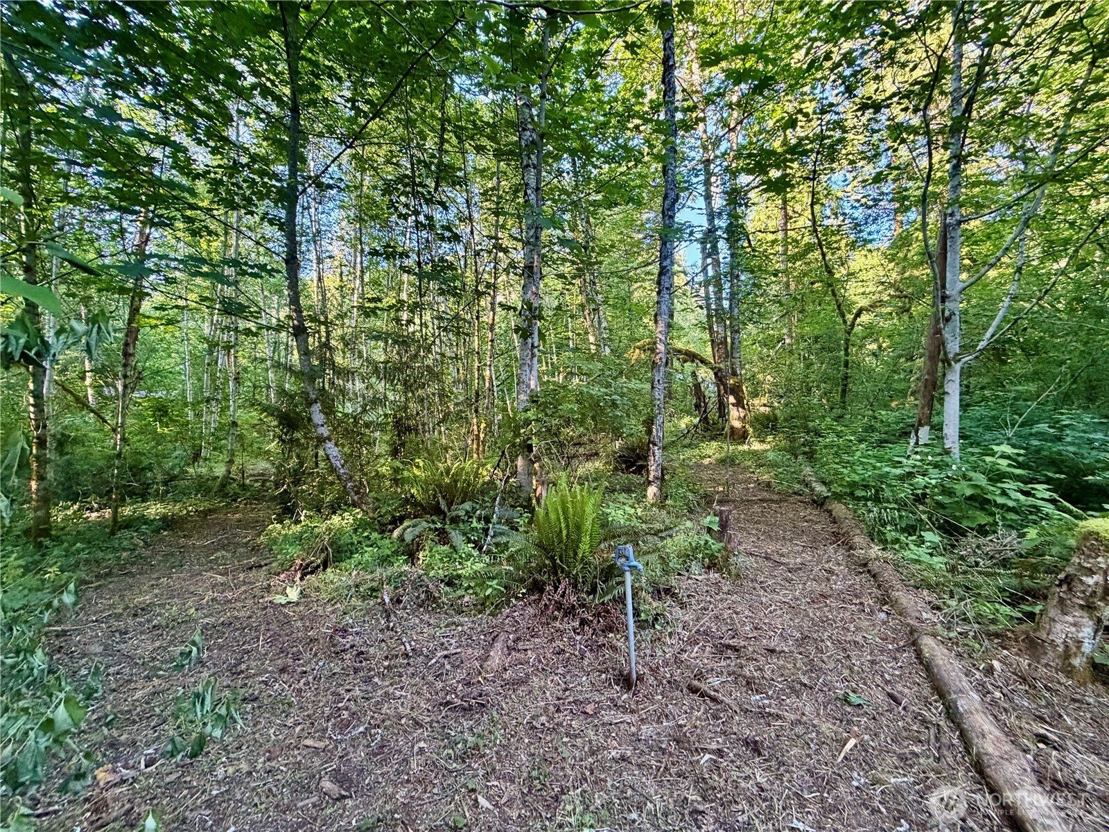 7546 Colleen Court Property Photo 20