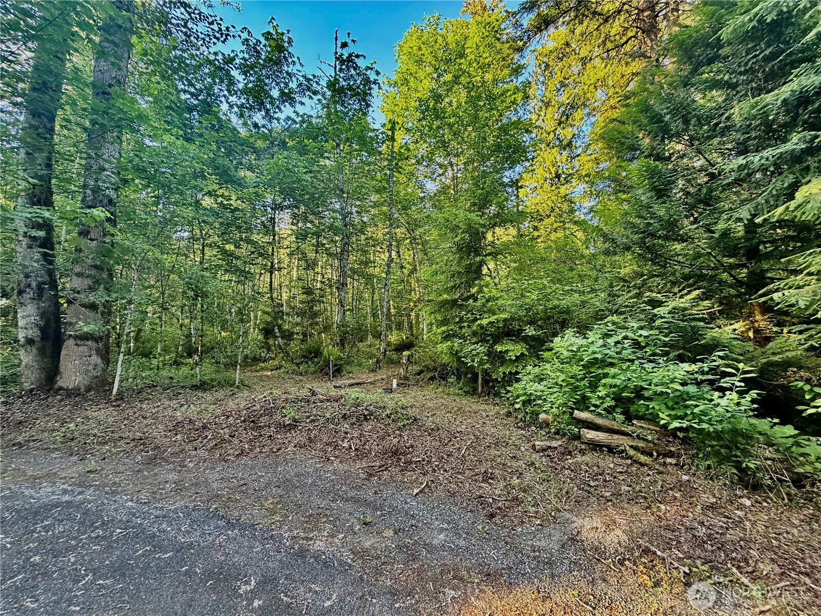7546 Colleen Court Property Photo 22