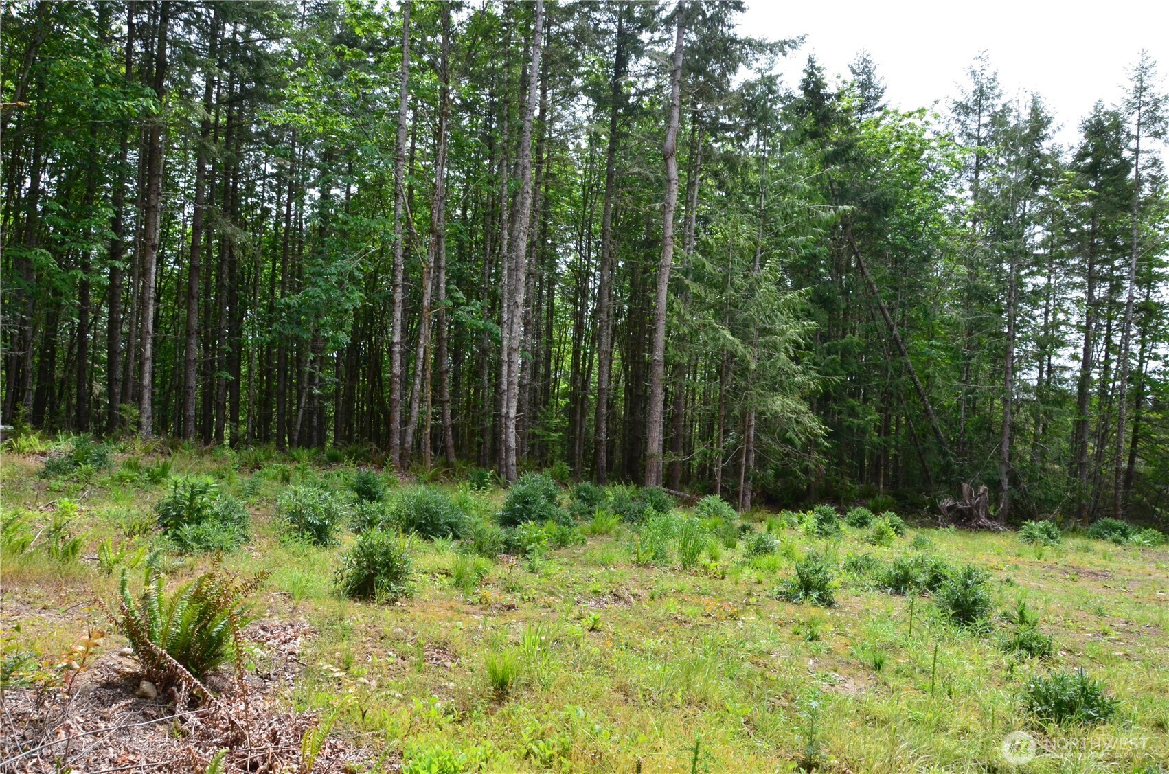 110 Country Ridge Road Property Photo 6