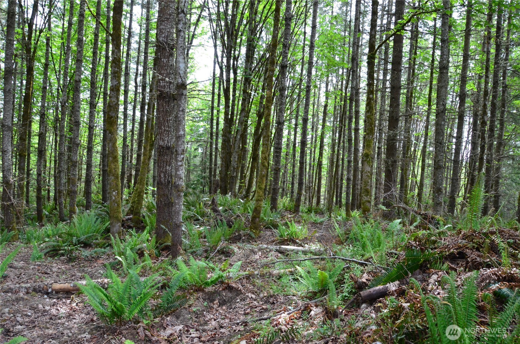 110 Country Ridge Road Property Photo 7