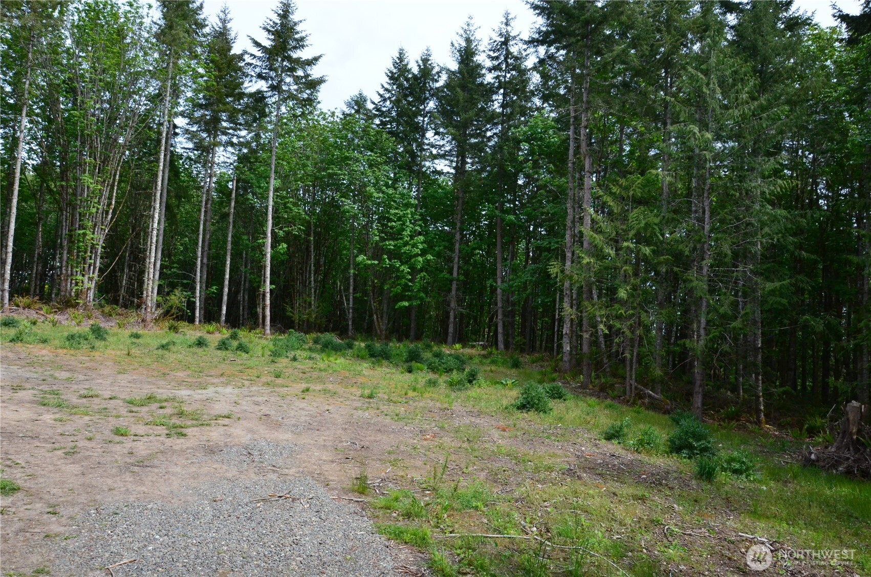 110 Country Ridge Road Property Photo 9