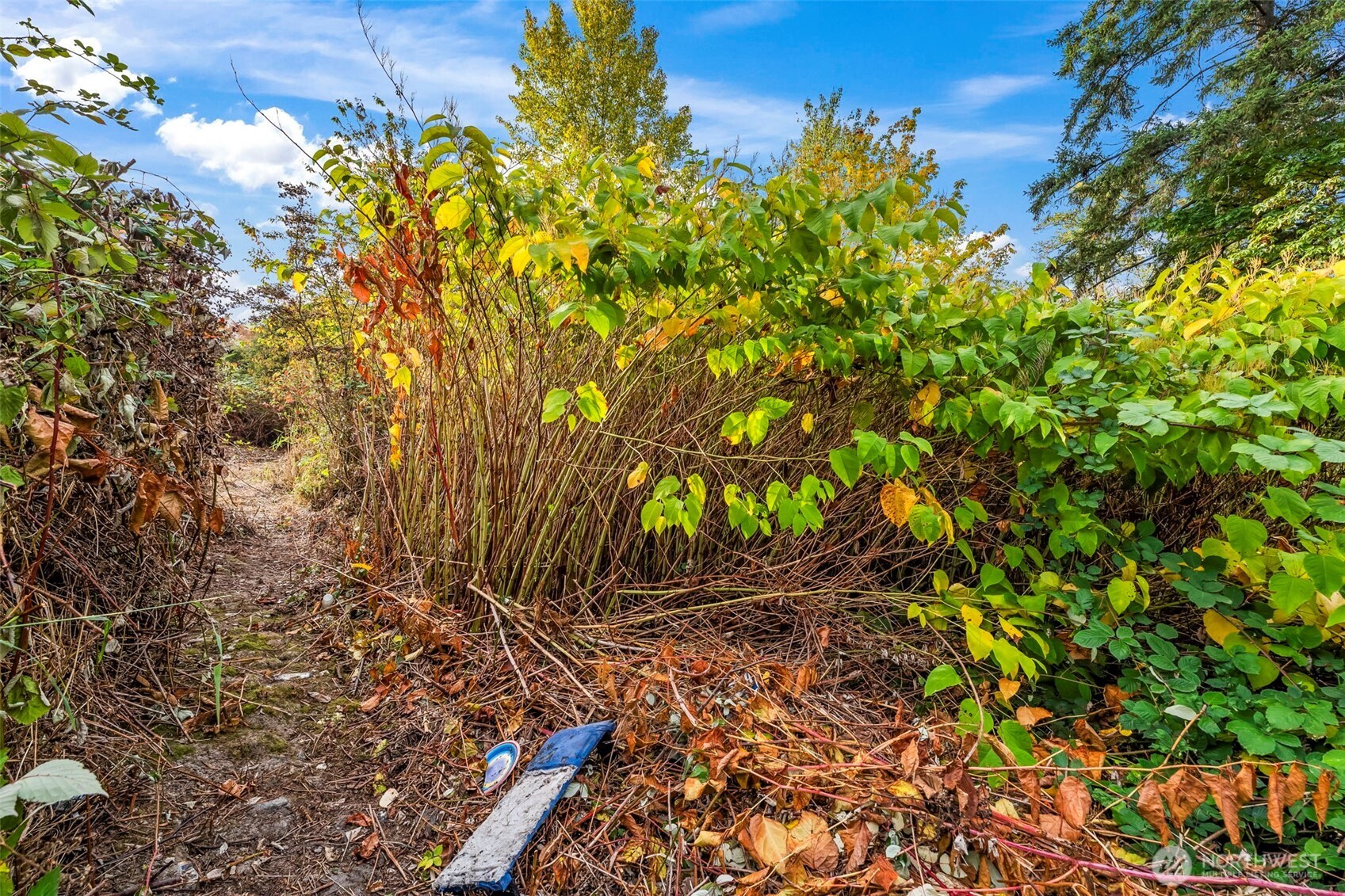 0 Fir Street Property Photo 15