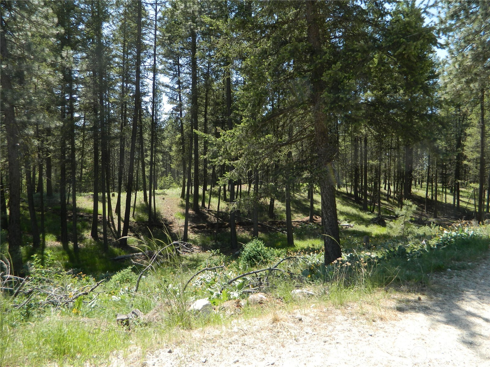 16 Summit Lake Road Property Photo 10