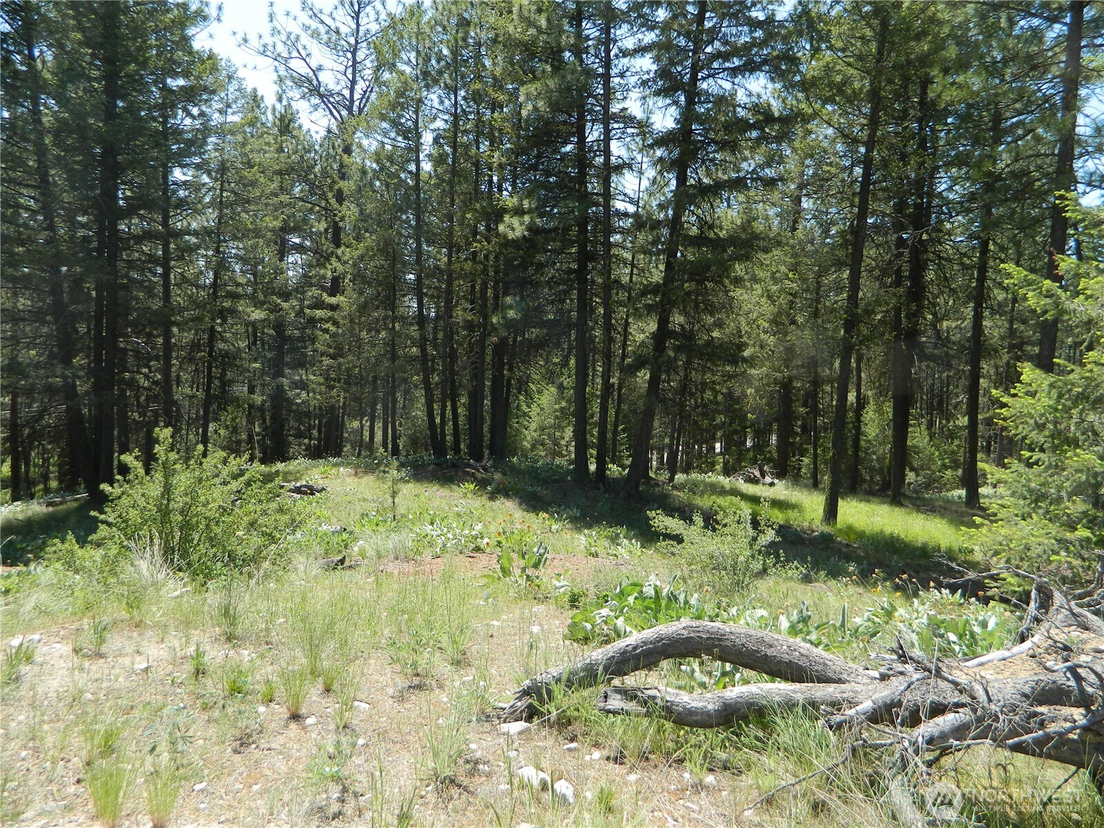 16 Summit Lake Road Property Photo 11