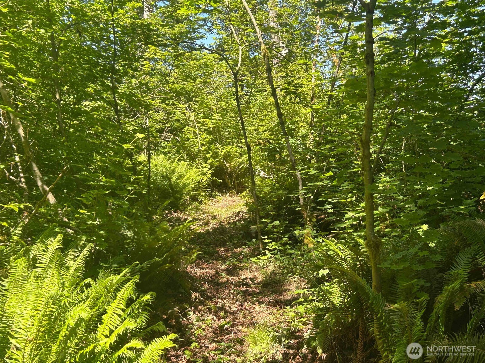 2692 H Street Road Property Photo 36