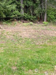 201 N Duckabush Drive Property Photo 7