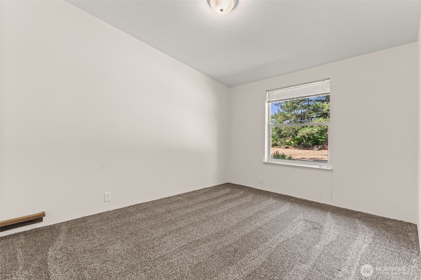 12441 133rd Avenue Property Photo 19