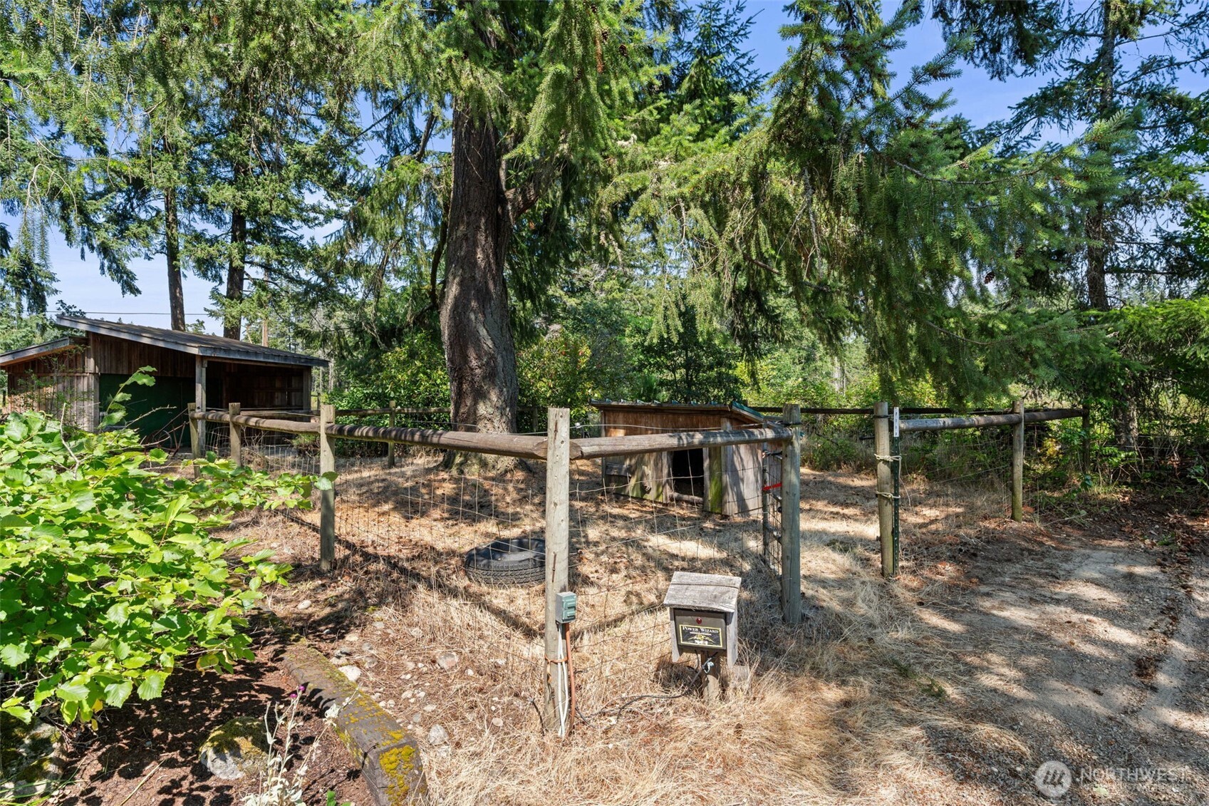 12441 133rd Avenue Property Photo 31