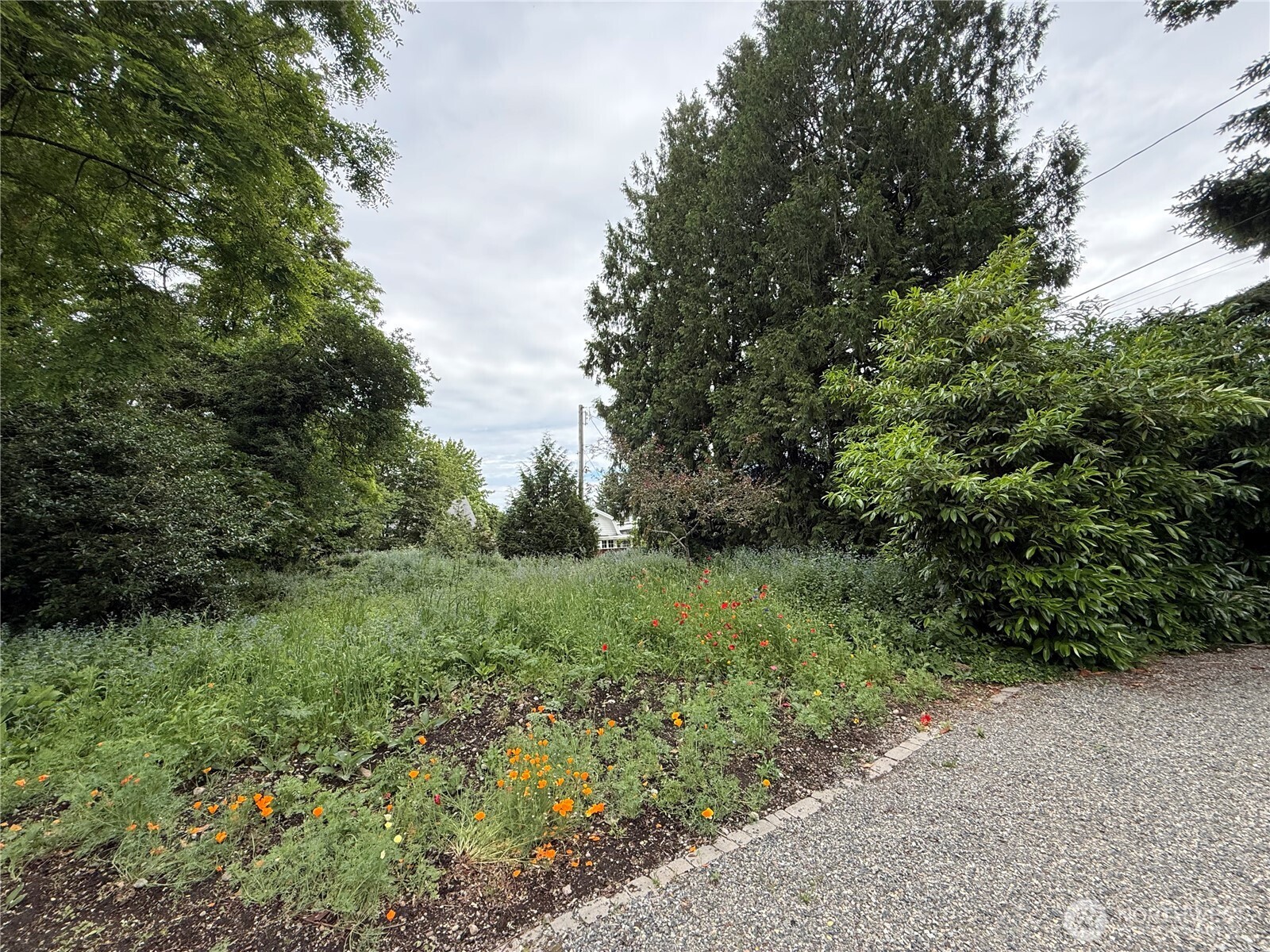 0 Ponce De Leon Property Photo 1
