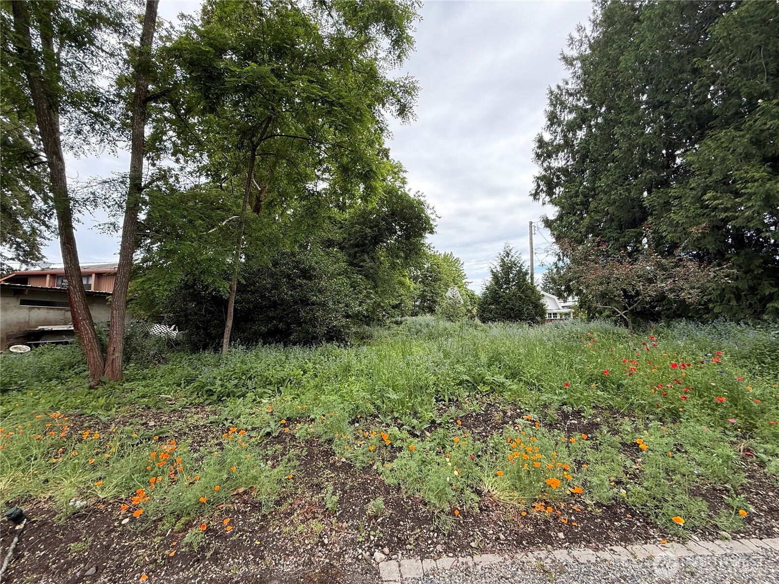 0 Ponce De Leon Property Photo 3