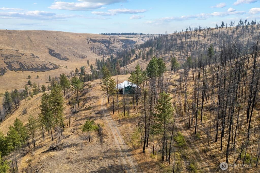 31725 N Hawk Creek Ranch Rd Property Photo 33