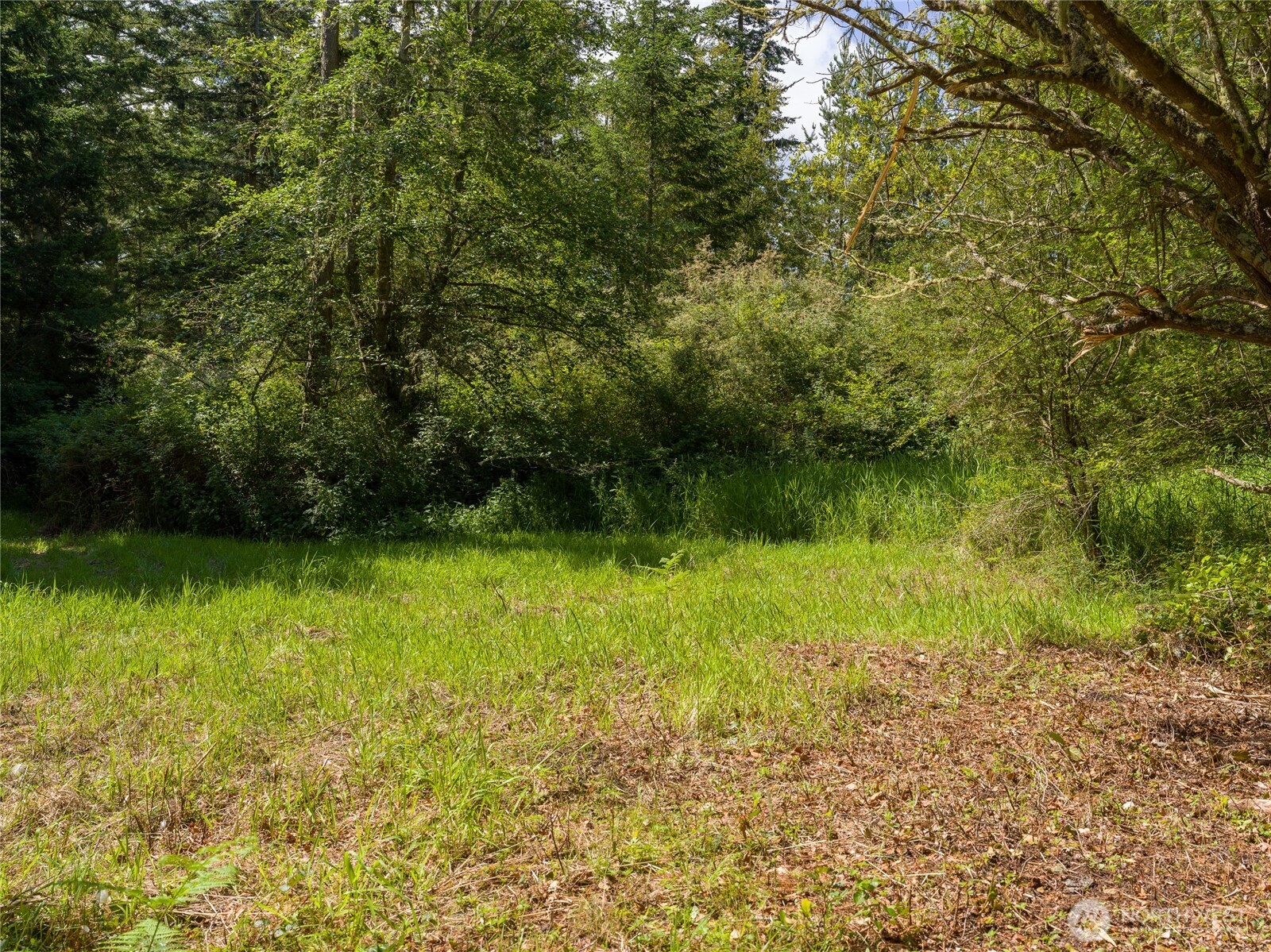 1486 Center Road Property Photo 1
