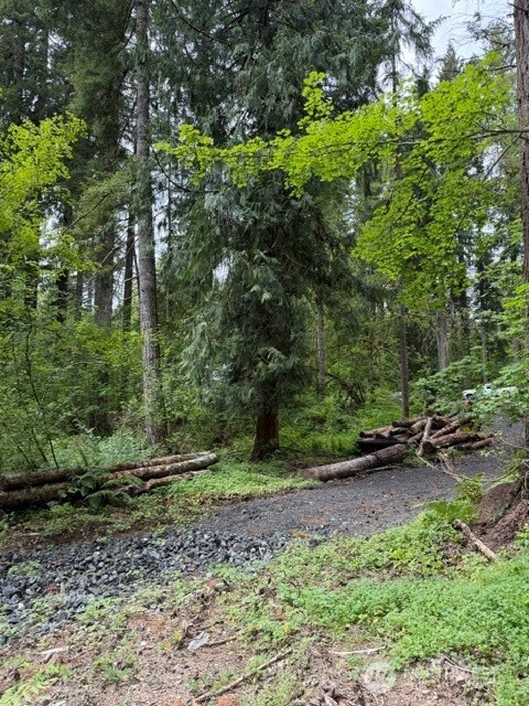 55015 315th Avenue Property Photo 4
