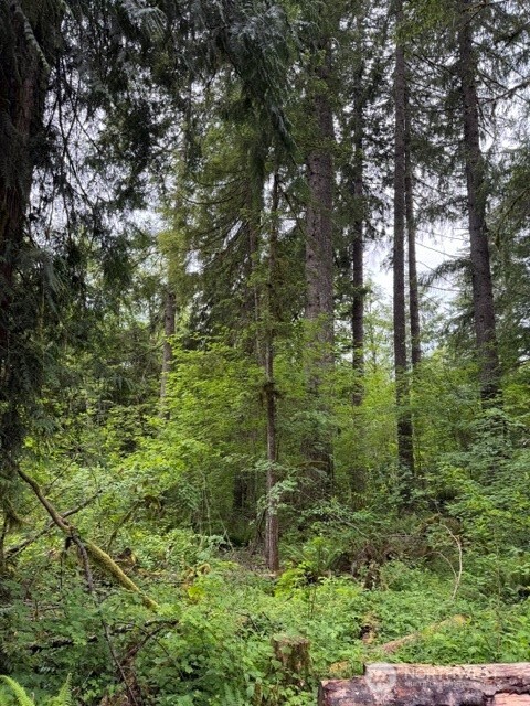 55015 315th Avenue Property Photo 8