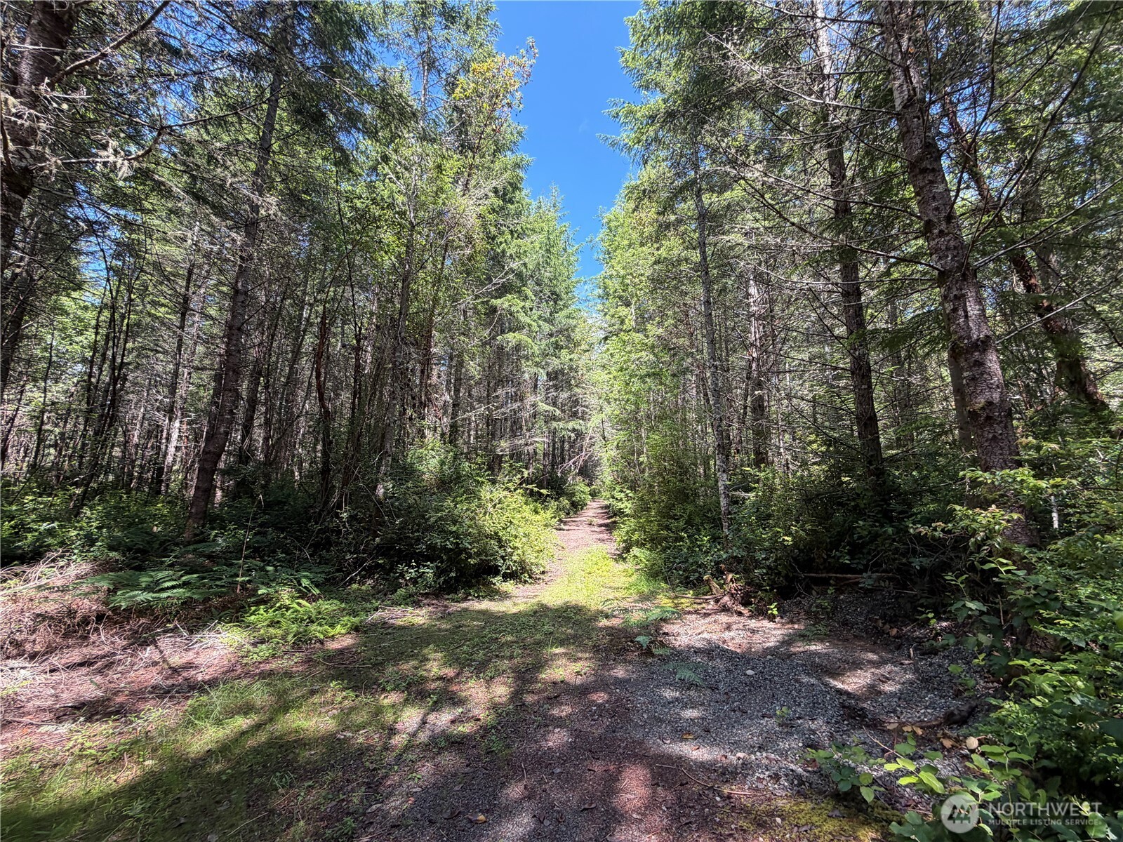 178 Geoduck Drive Property Photo 3
