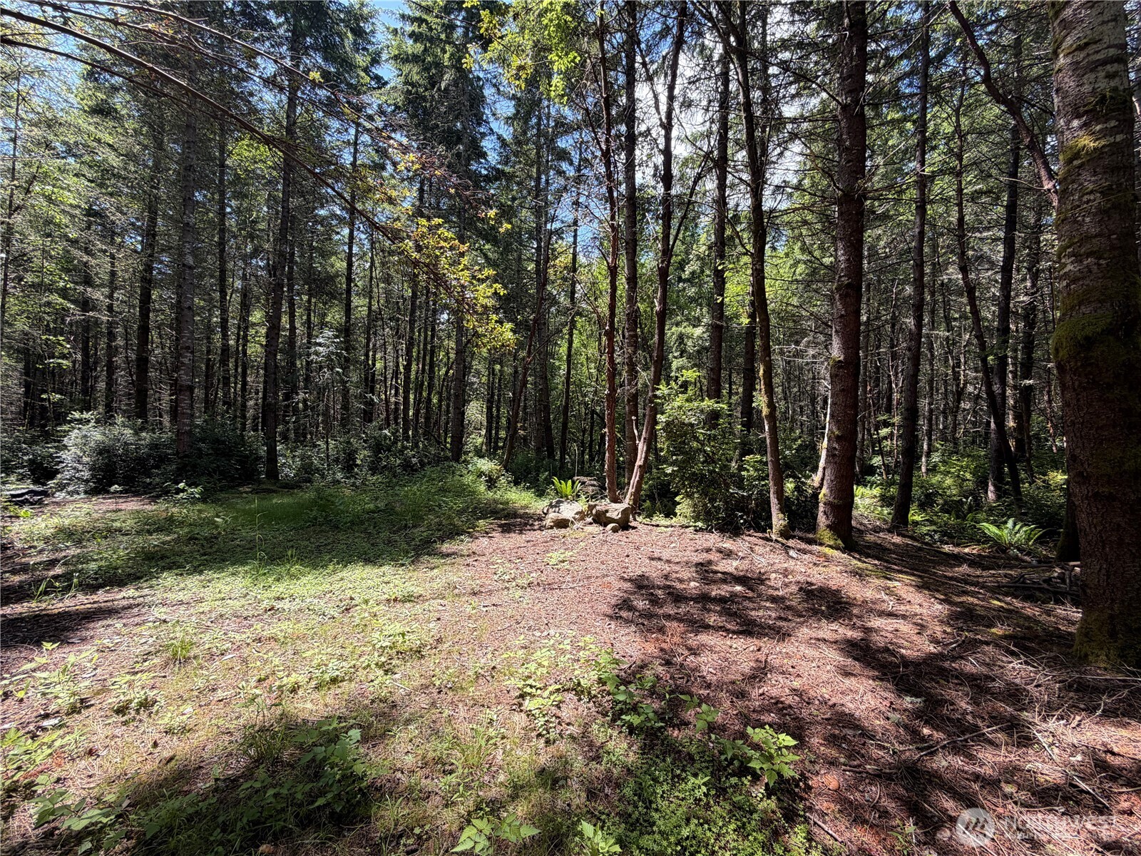 178 Geoduck Drive Property Photo 4