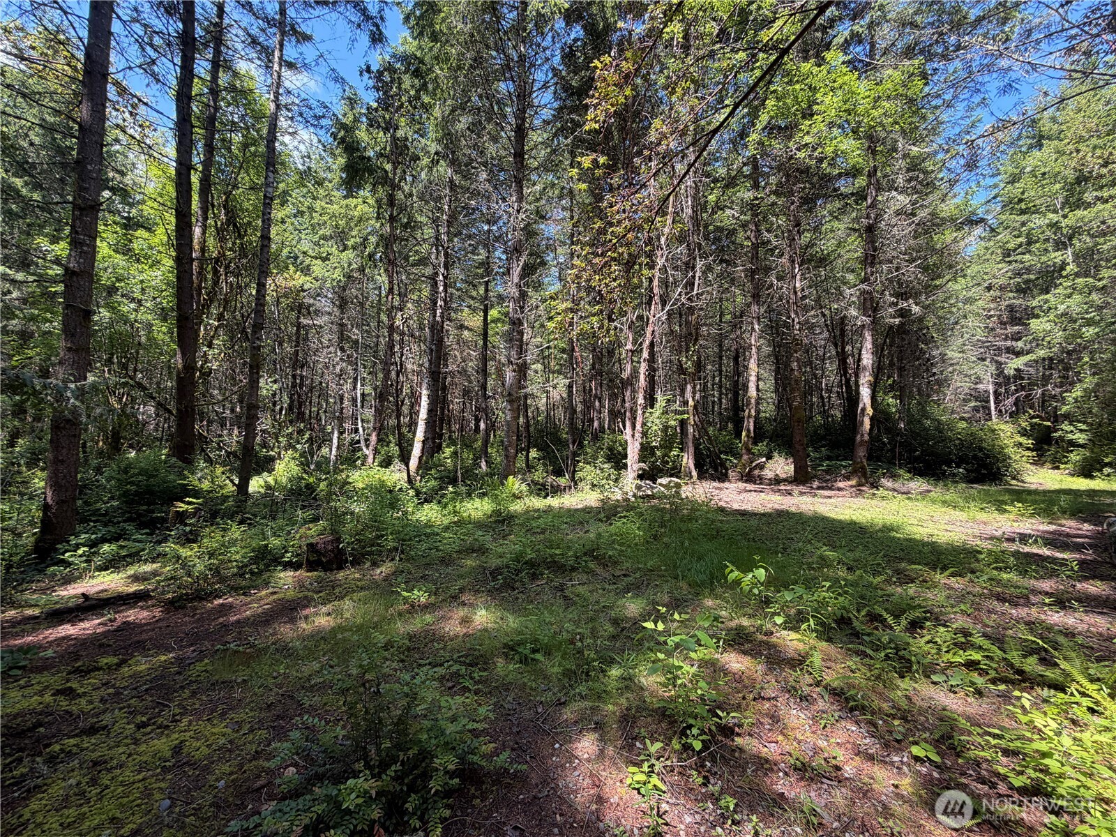 178 Geoduck Drive Property Photo 5