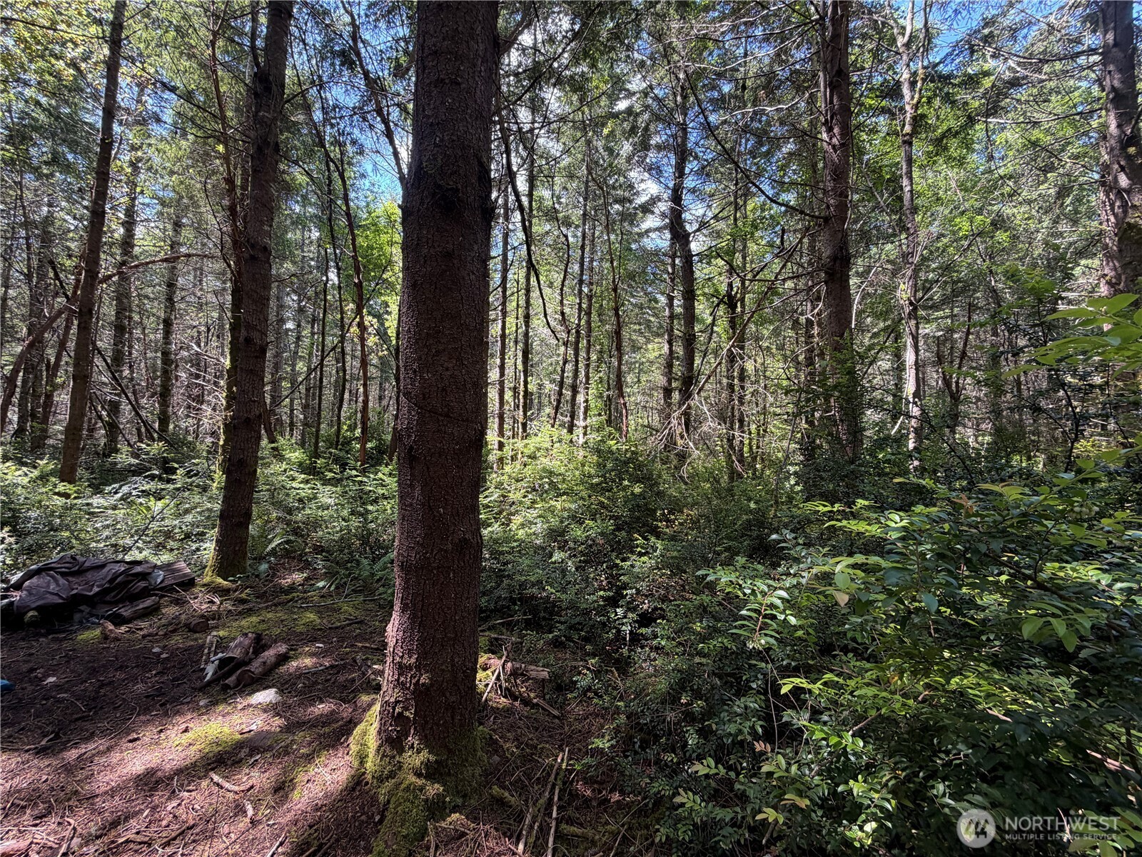 178 Geoduck Drive Property Photo 6
