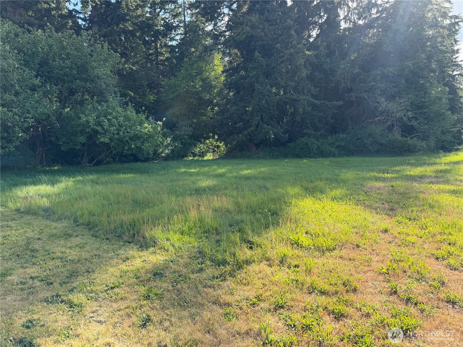 11223 Rhody Drive Property Photo 29