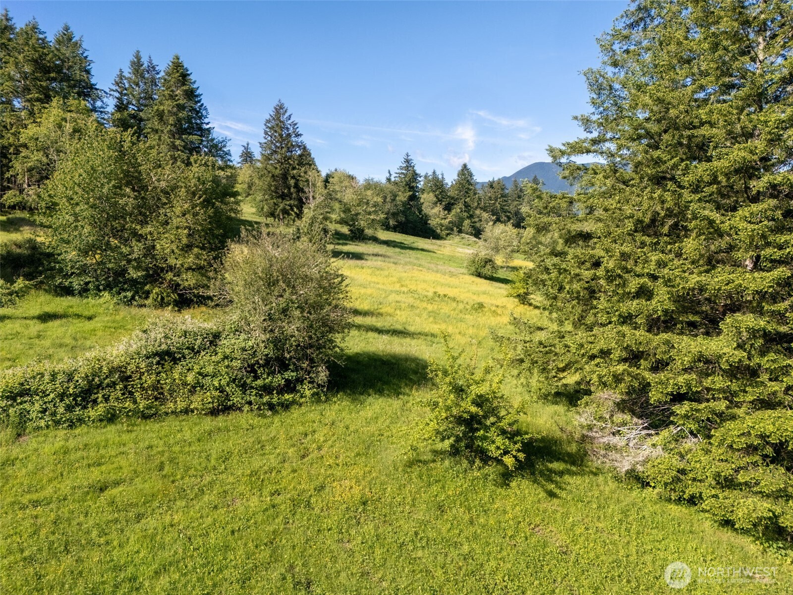 9999 Leland Valley Road Property Photo 19