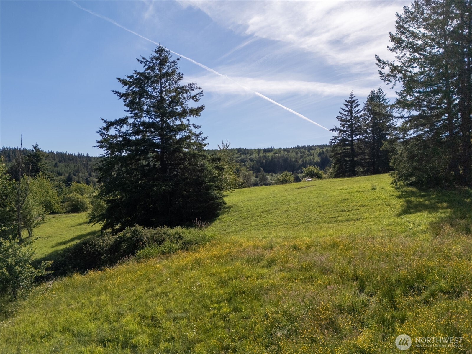 9999 Leland Valley Road Property Photo 29