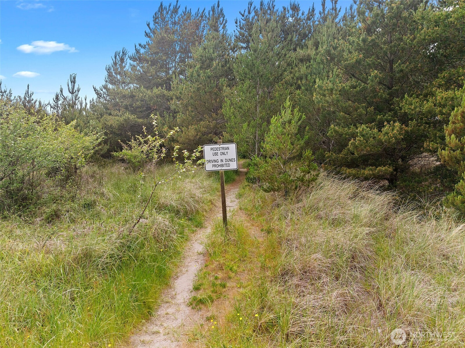 1507 198 Place Property Photo 18