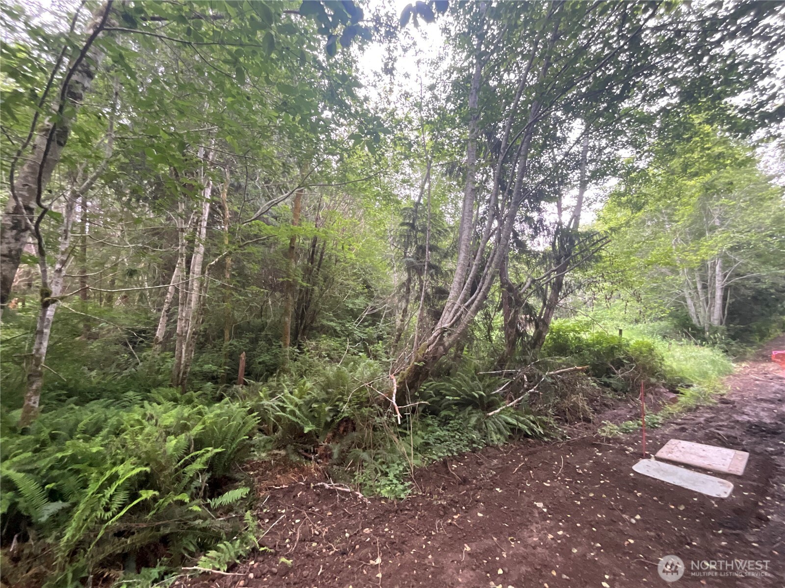 200 W Thunderbird Drive Property Photo 2