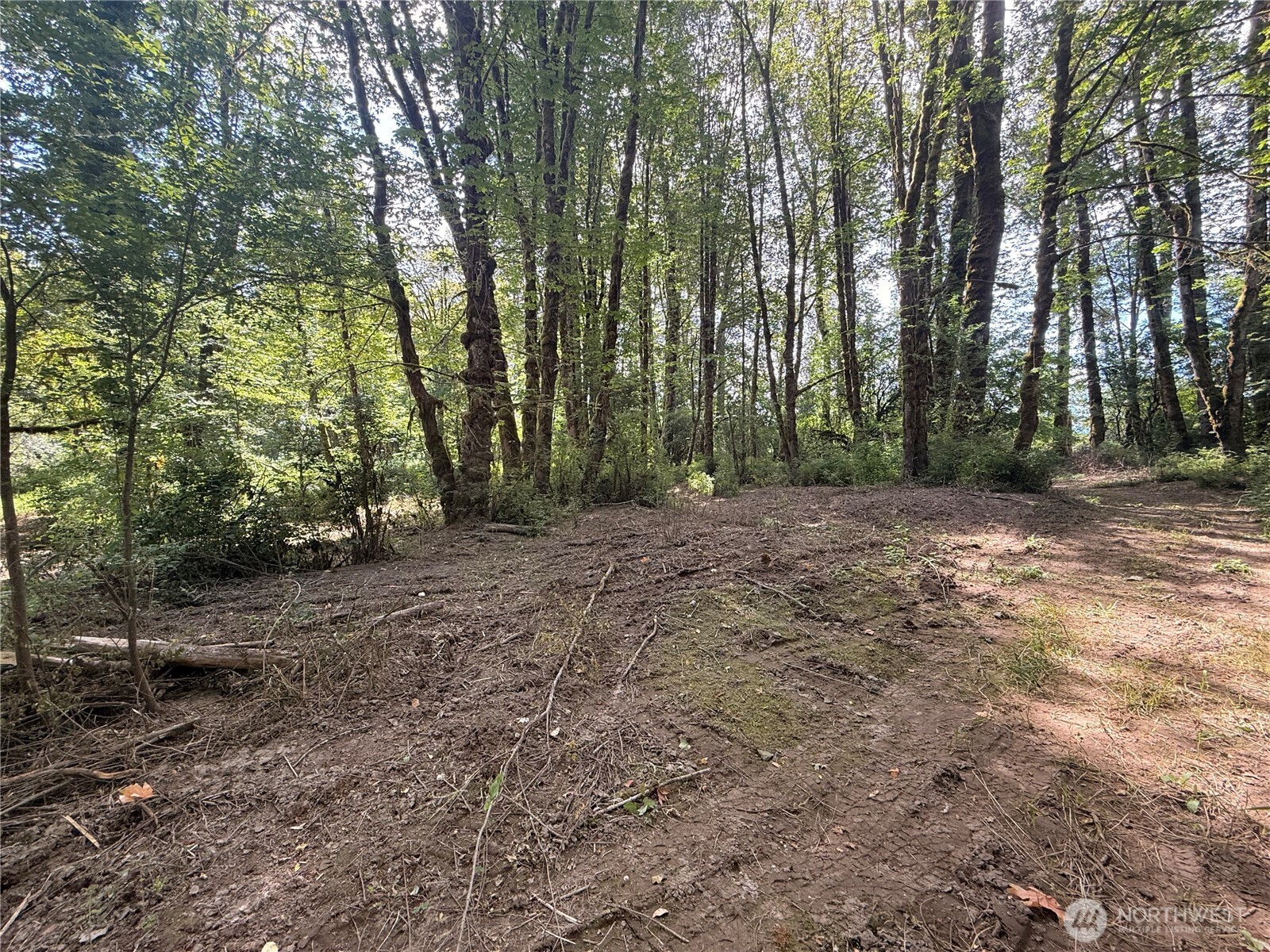 124 03 Mckay Property Photo 12
