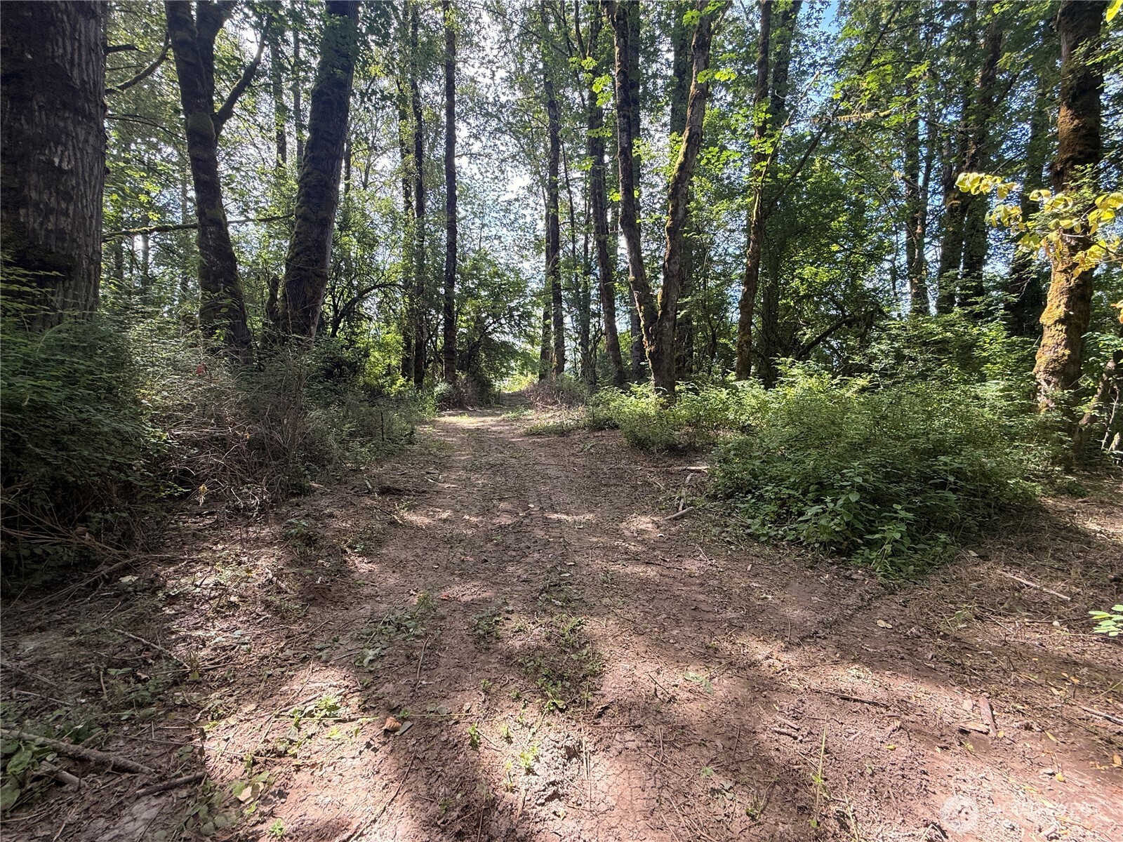 124 03 Mckay Property Photo 25