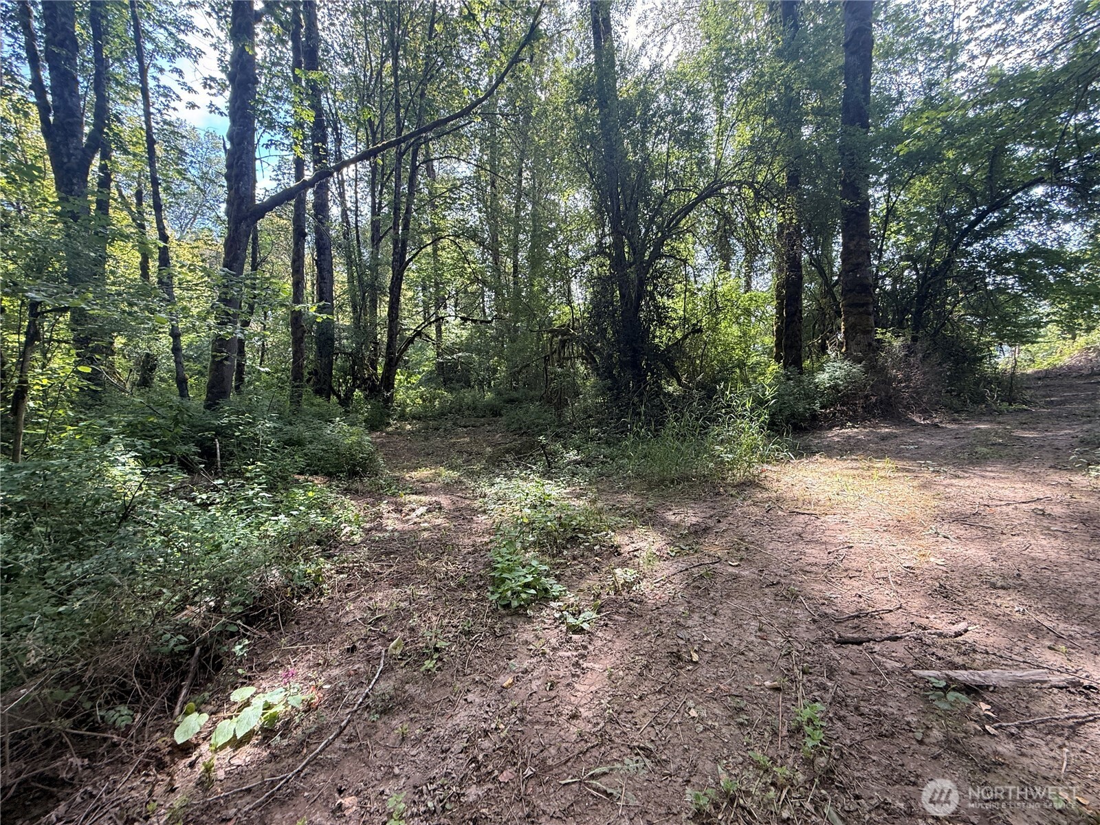 124 03 Mckay Property Photo 26