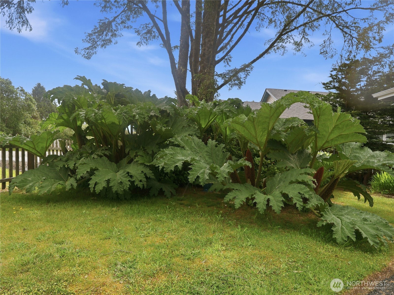165 N Narwhal Loop Property Photo 37