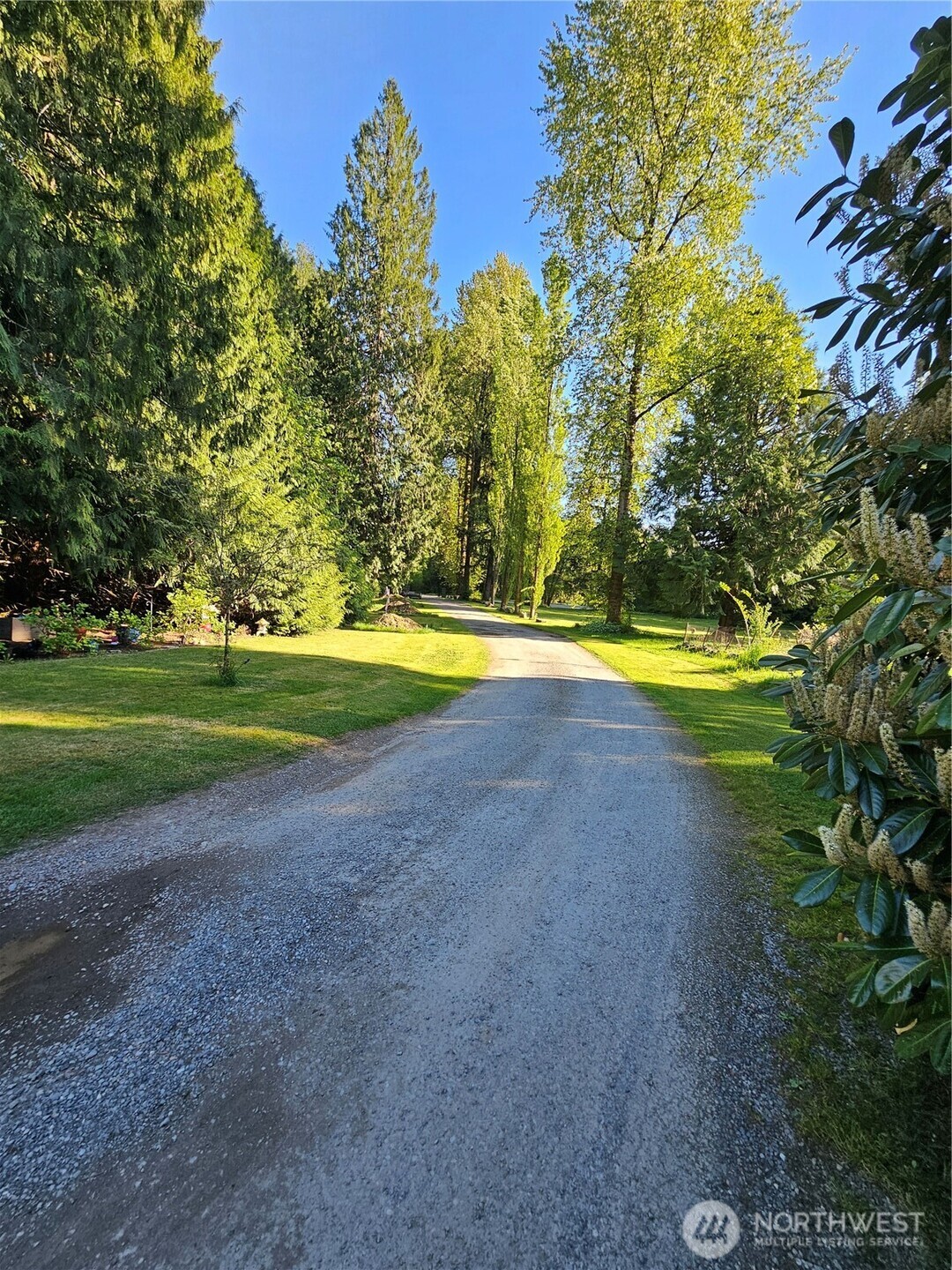 23618 Se Tiger Mountain Road Property Photo 5