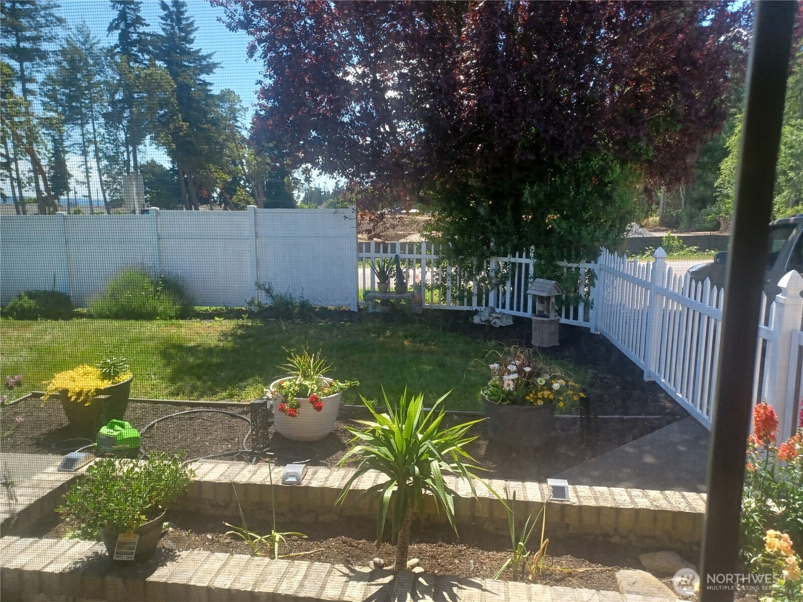 317 Teresa Street Property Photo 19
