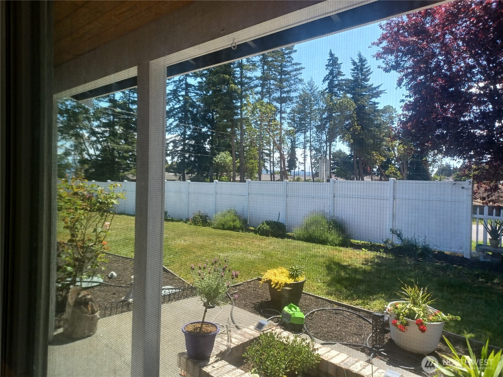 317 Teresa Street Property Photo 20