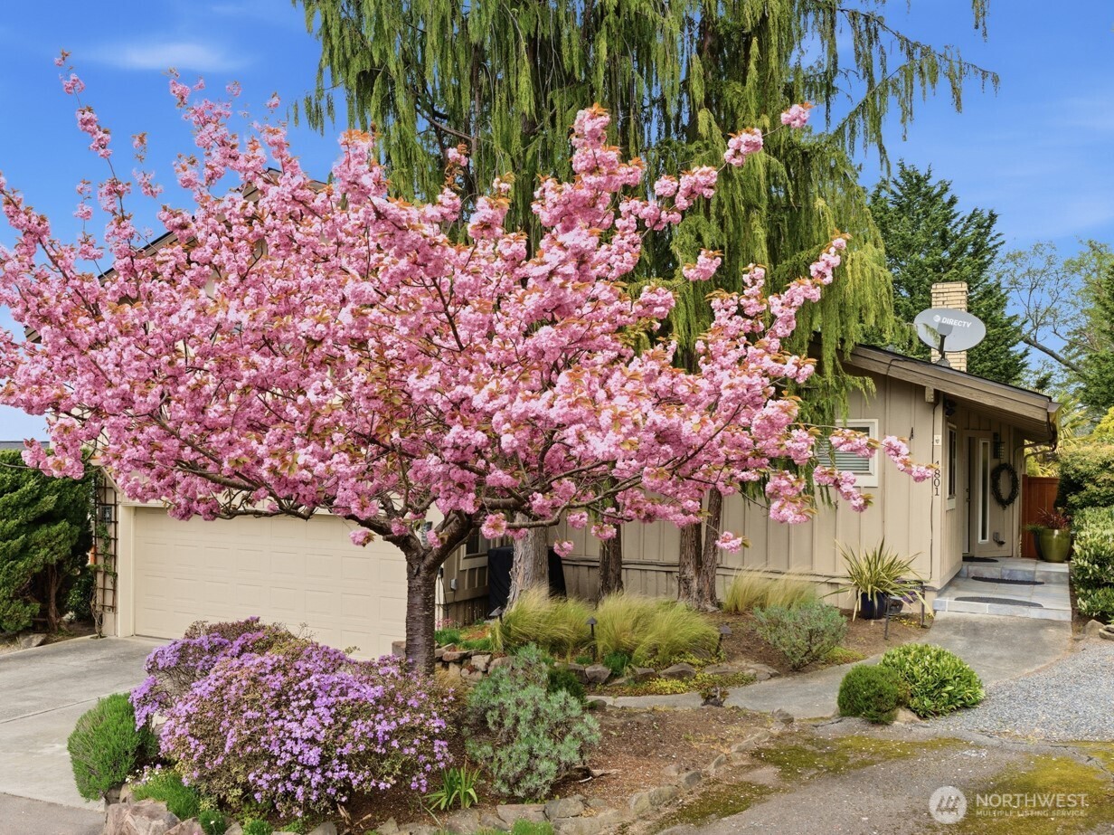4801 78th Place Property Photo 39