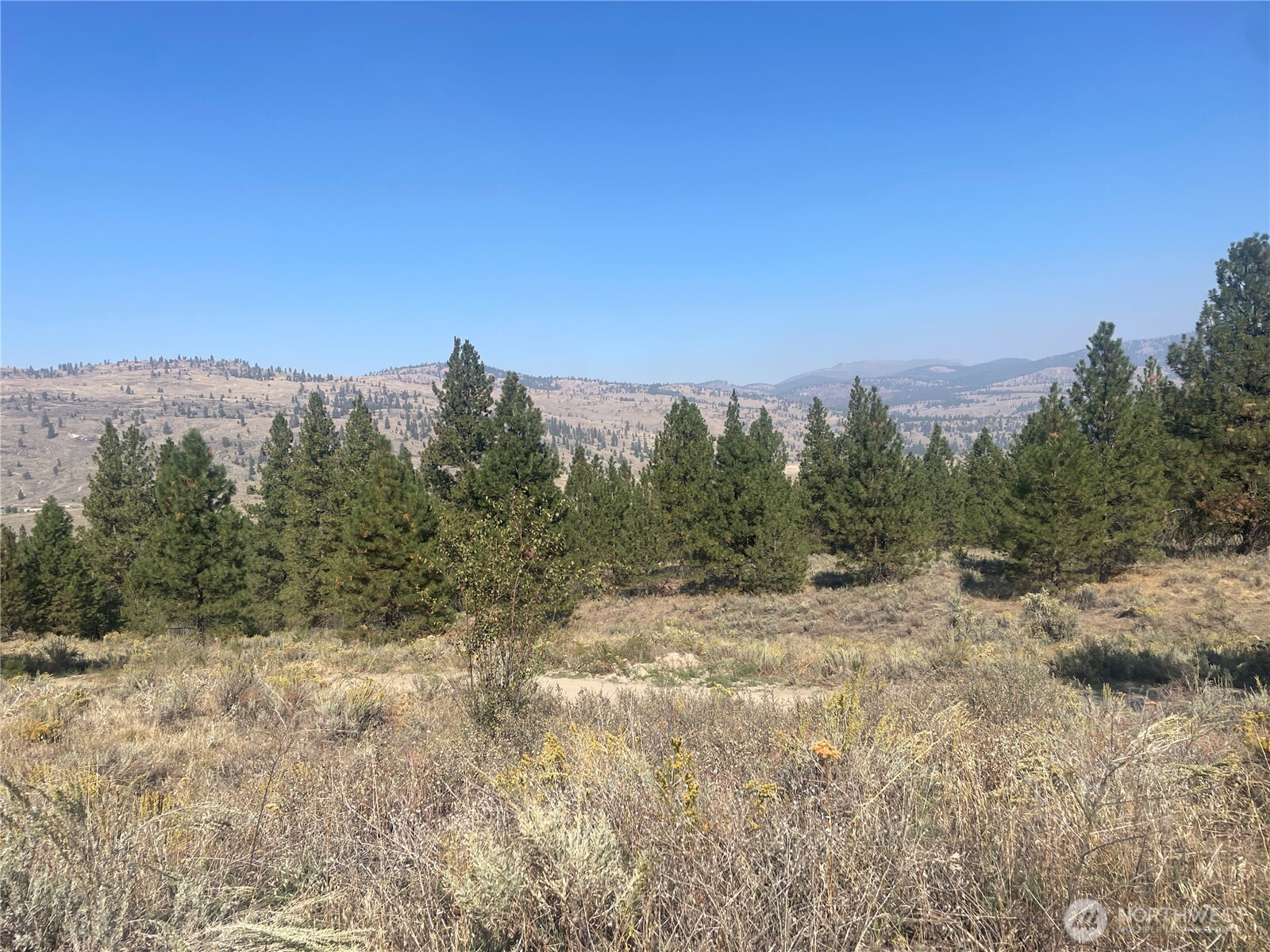 0 Tbd Reevas Basin Road Property Photo 2