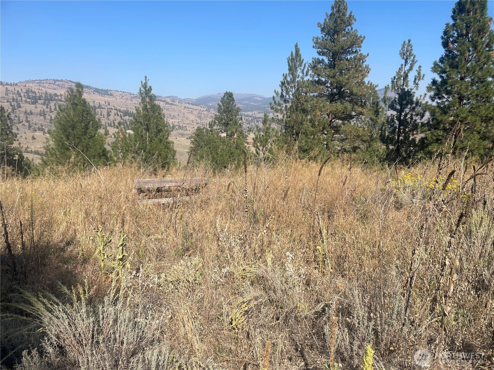 0 Tbd Reevas Basin Road Property Photo 3