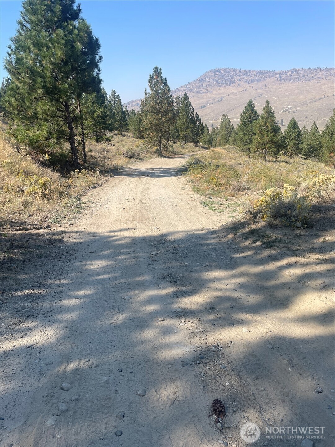 0 Tbd Reevas Basin Road Property Photo 4