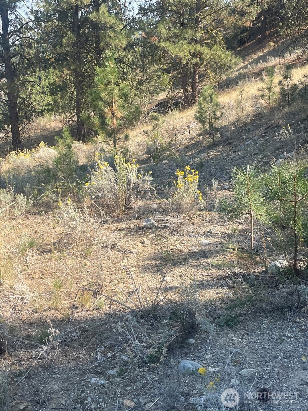 0 Tbd Reevas Basin Road Property Photo 5