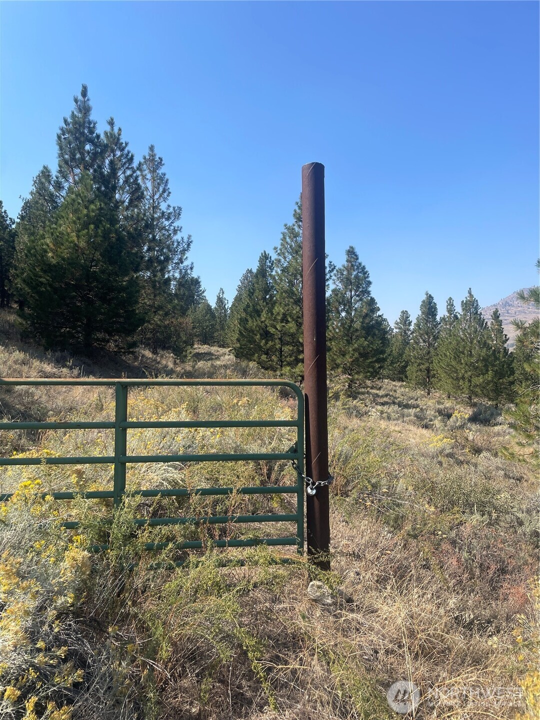 0 Tbd Reevas Basin Road Property Photo 6