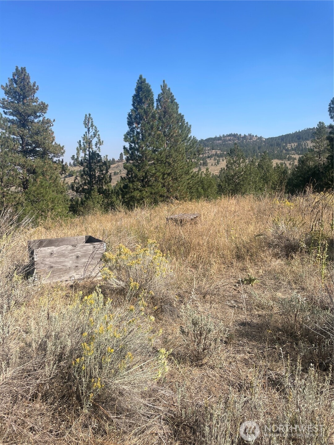 0 Tbd Reevas Basin Road Property Photo 7