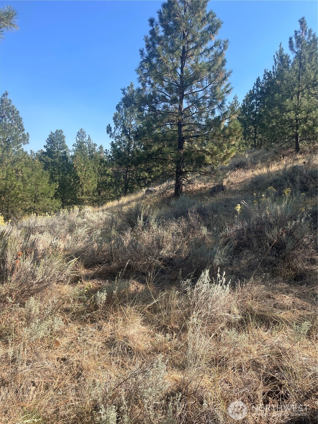 0 Tbd Reevas Basin Road Property Photo 9