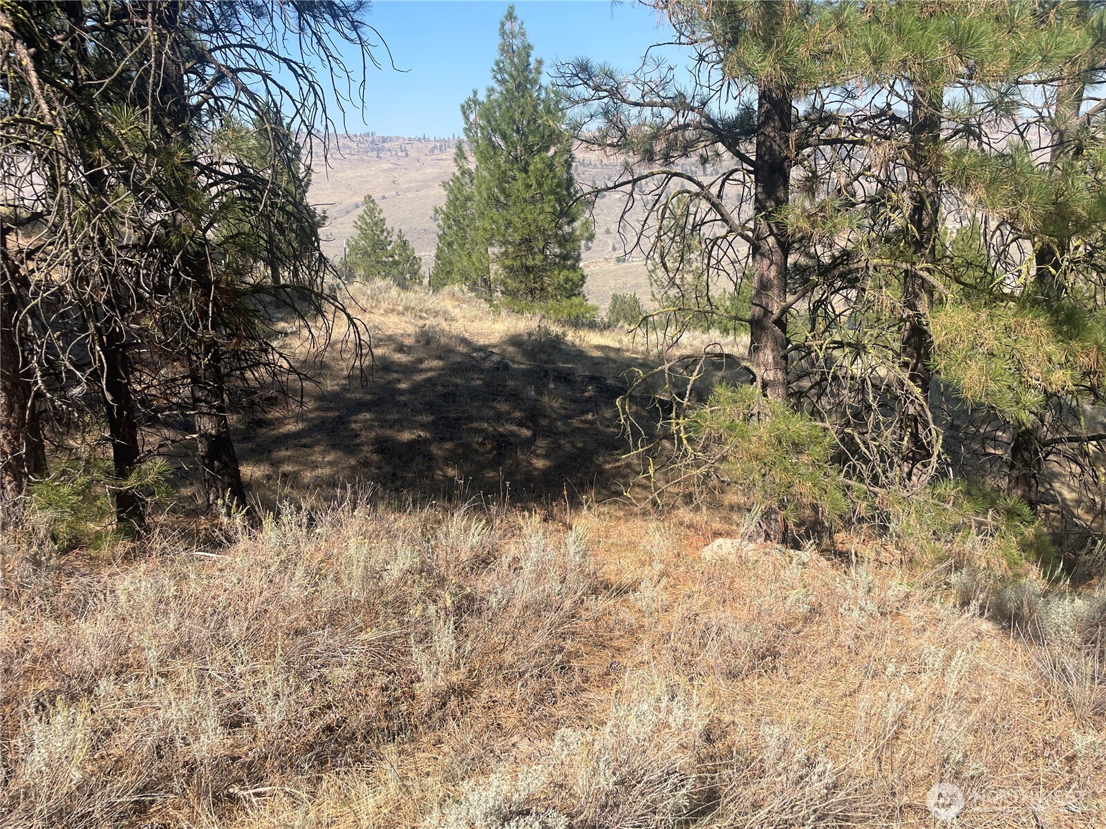 0 Tbd Reevas Basin Road Property Photo 10