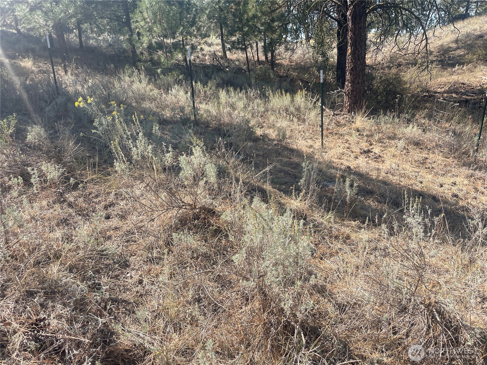 0 Tbd Reevas Basin Road Property Photo 11