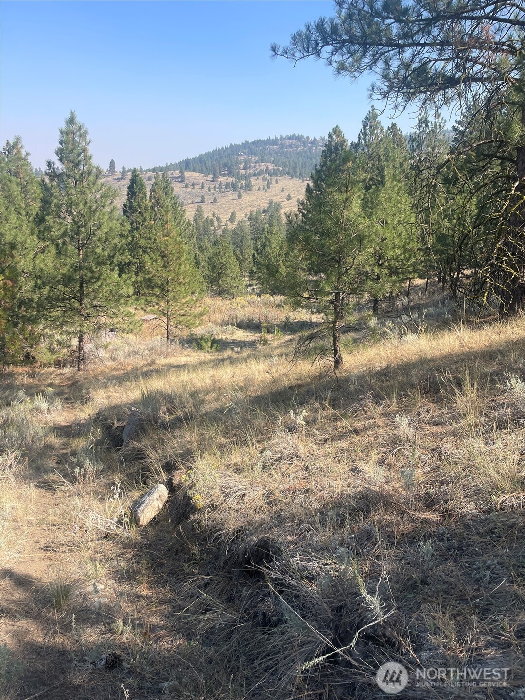 0 Tbd Reevas Basin Road Property Photo 12