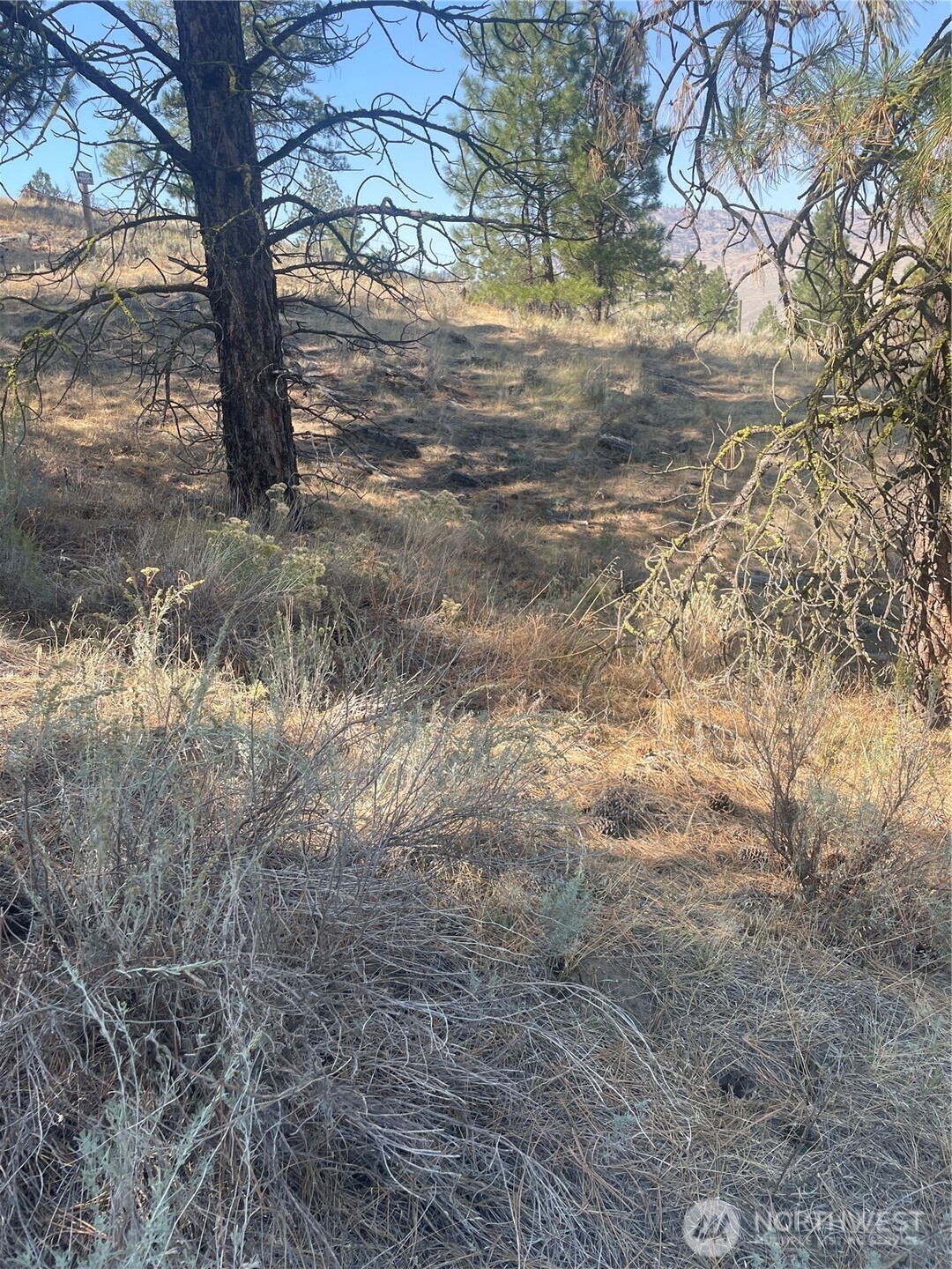 0 Tbd Reevas Basin Road Property Photo 13