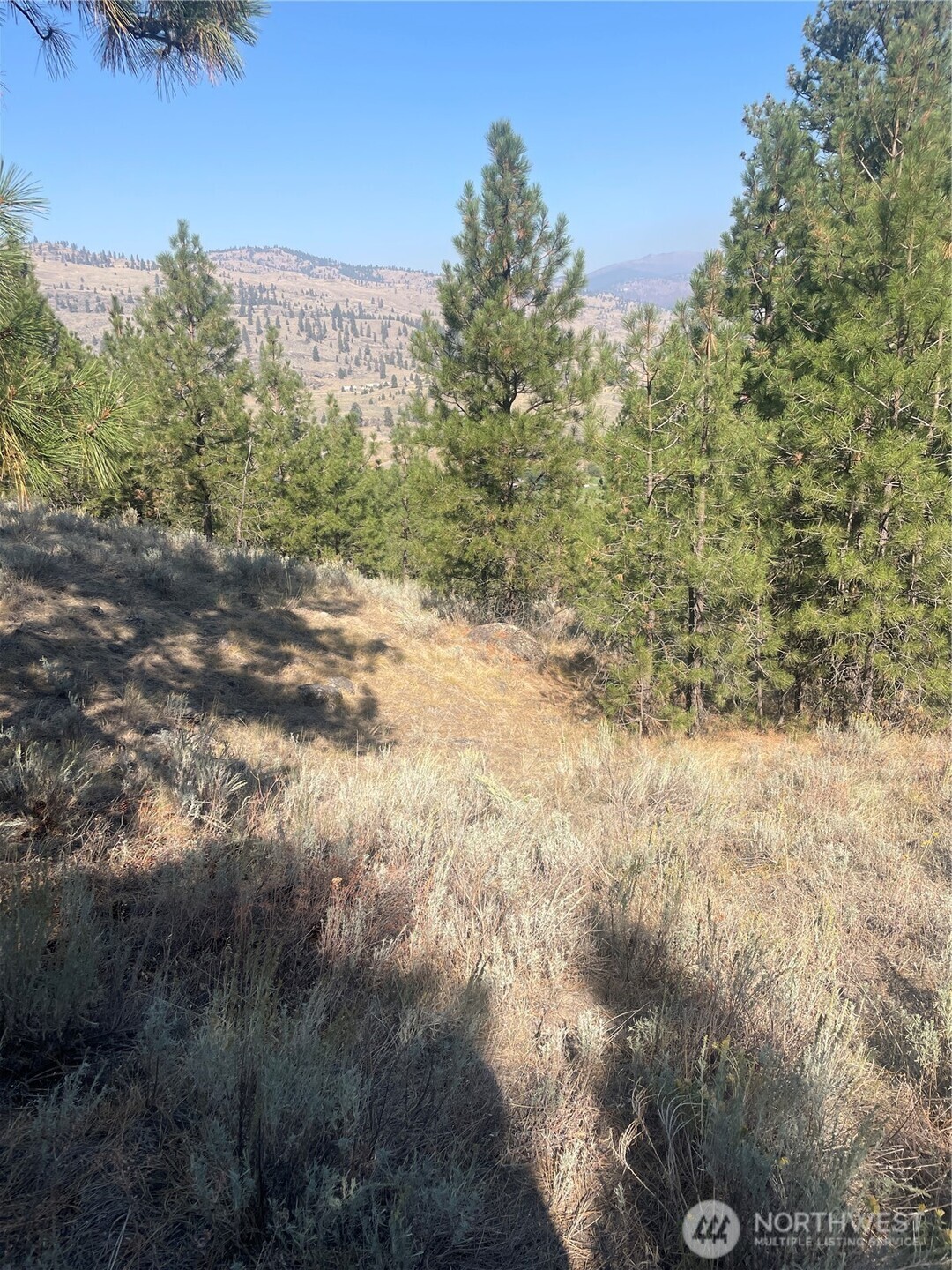 0 Tbd Reevas Basin Road Property Photo 14