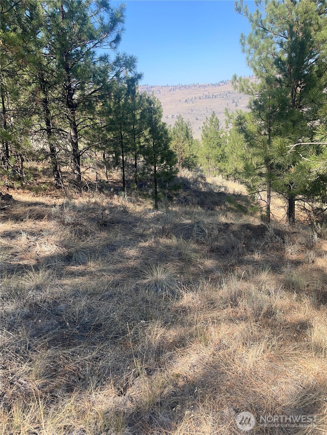 0 Tbd Reevas Basin Road Property Photo 15